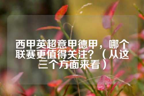作为羽坛资