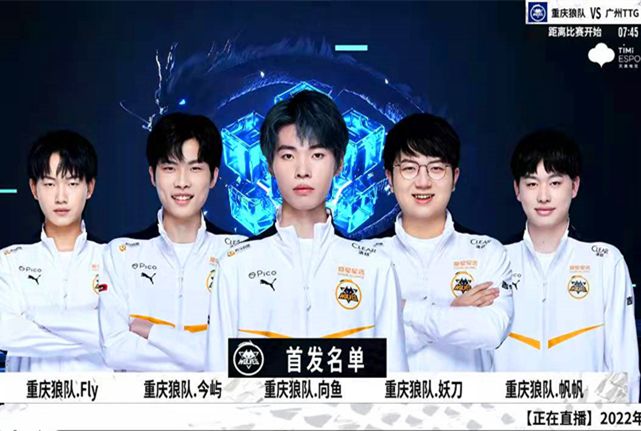 家的广泛讨