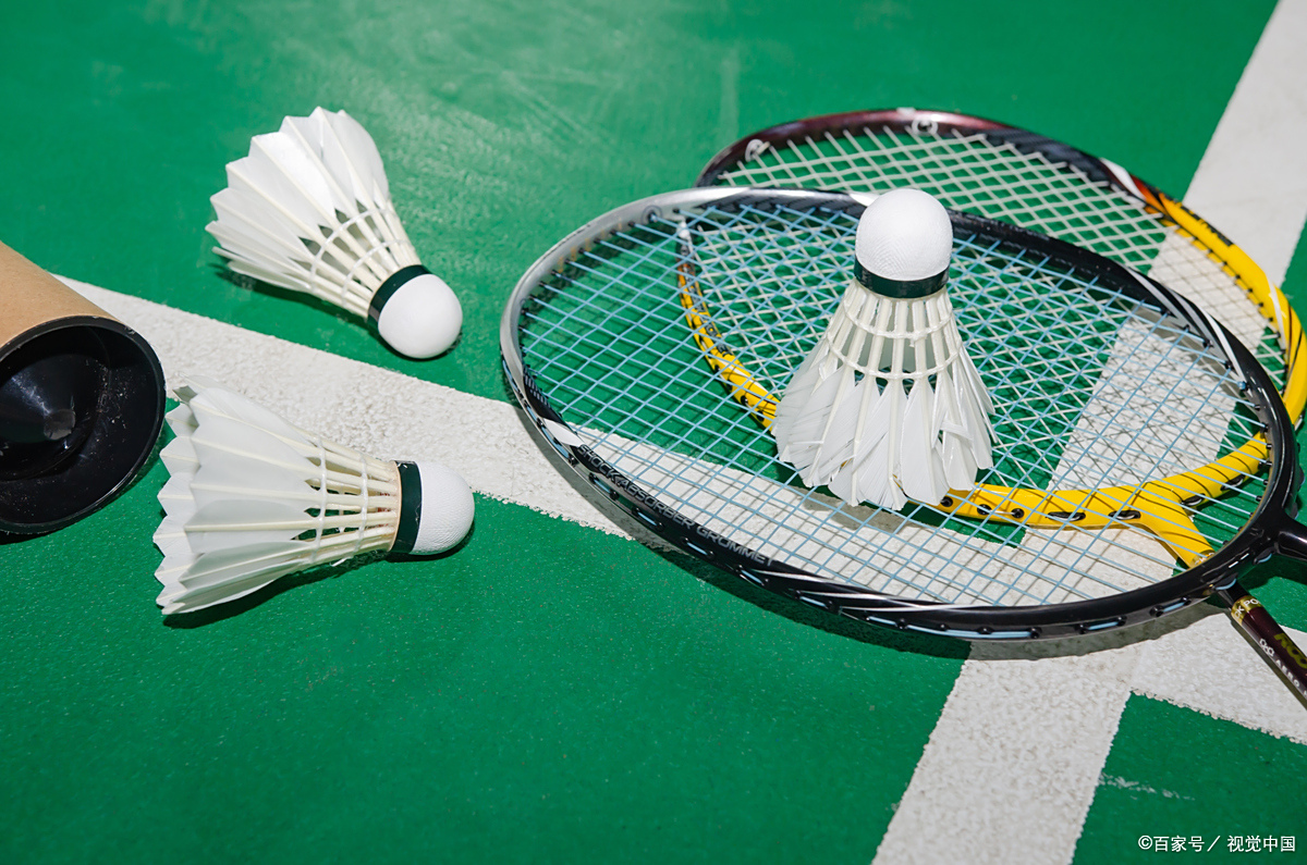 其他小将展 其他小将展